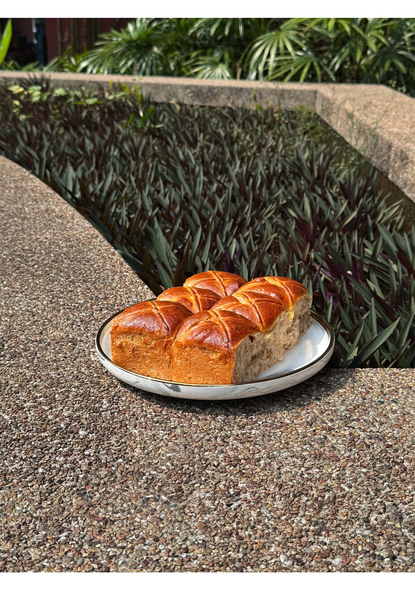 Cranberry Walnut Rye Hot Cross Bun